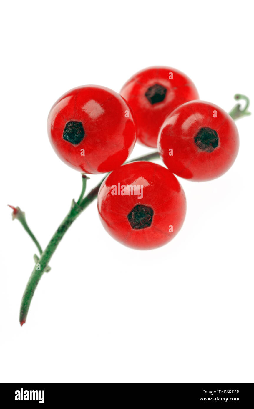 Ribes rosso su bianco Foto Stock