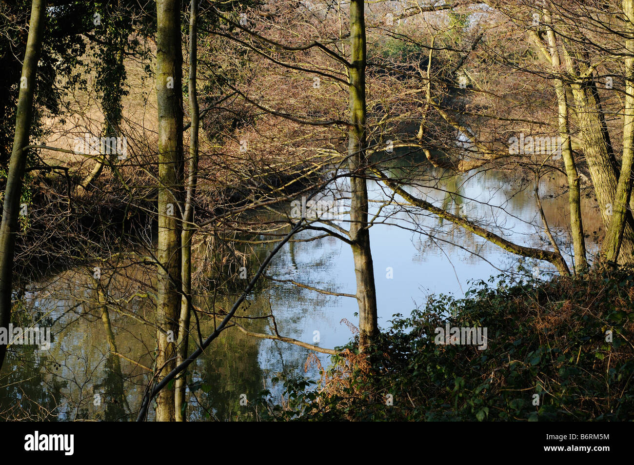 Fiume Mole in inverno Elmbridge Surrey UK Foto Stock