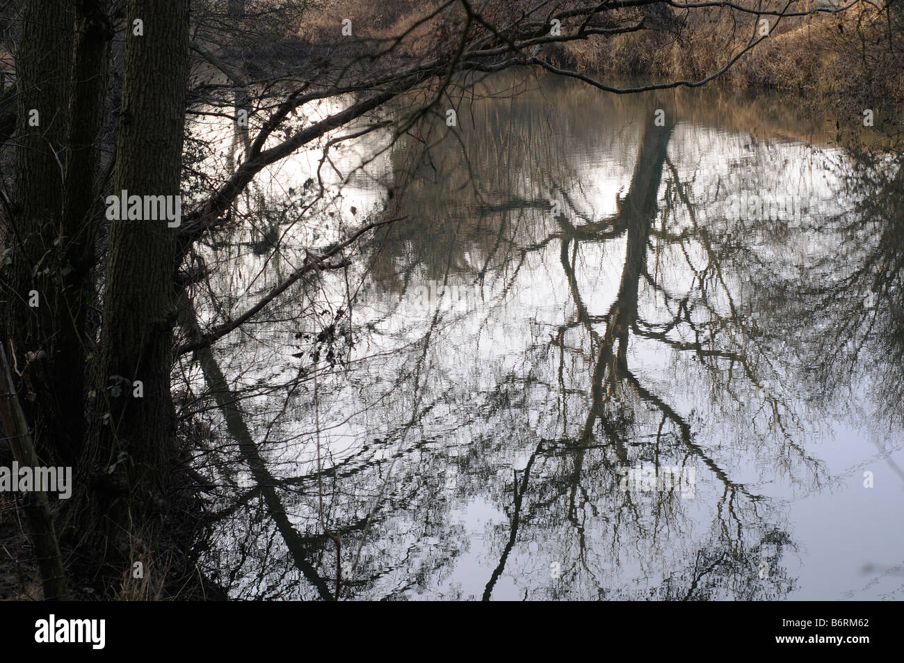 Fiume Mole in inverno Elmbridge Surrey UK Foto Stock