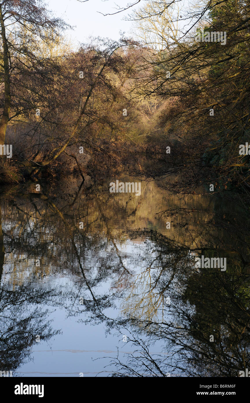 Fiume Mole in inverno Elmbridge Surrey UK Foto Stock