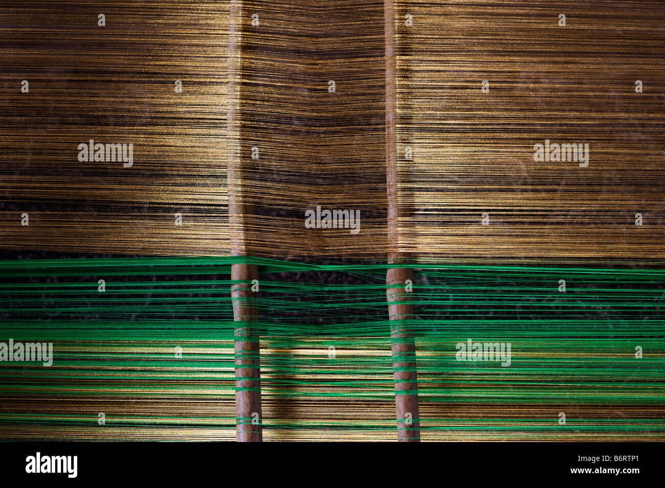 Oro e verde dei fili di seta su sari lato telaio in una zona rurale villaggio indiano house. Andhra Pradesh, India Foto Stock