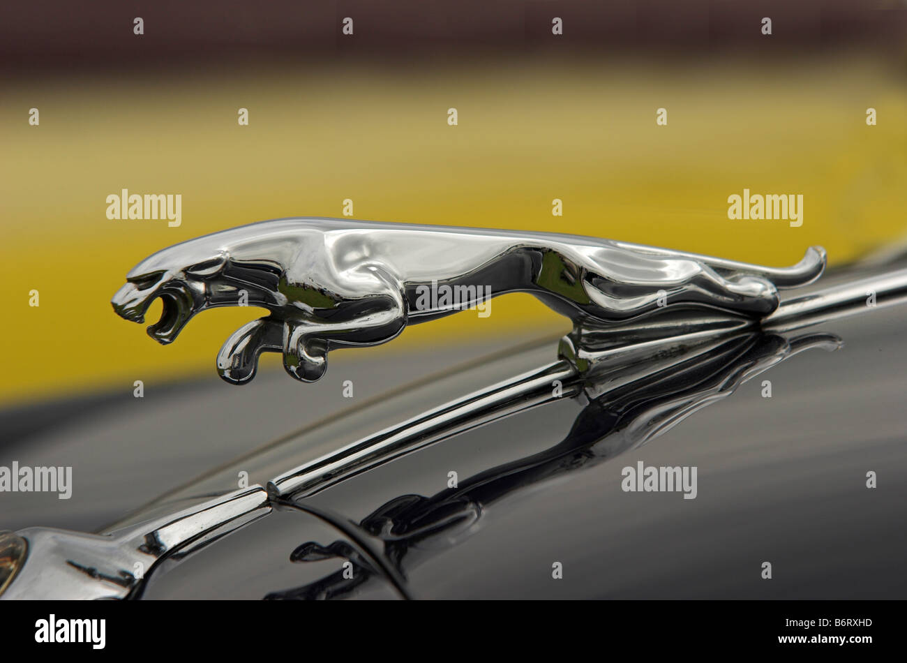 Jaguar Cars mascot - una volta un simbolo di British engineering ma ora posseduta dalla macchina gigante indiano Tata Foto Stock