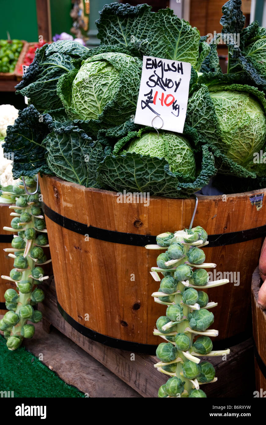 Inglese savoy cavoli cappucci a Borough Market, Londra Inghilterra REGNO UNITO Foto Stock