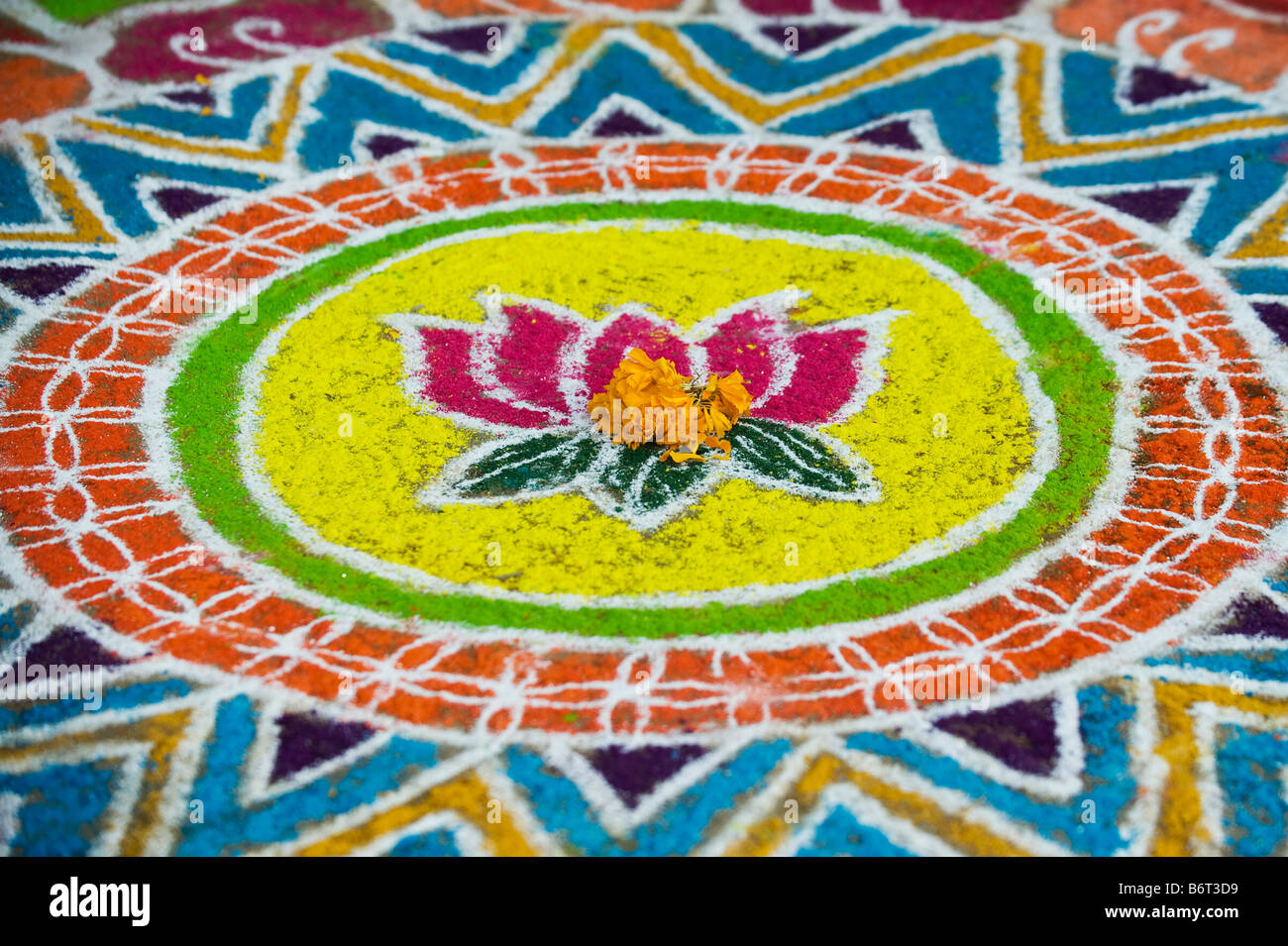 Rangoli festival lotus flower design in un Indiano street durante il festival di sankranthi / pongal. Puttaparthi, Andhra Pradesh, India Foto Stock