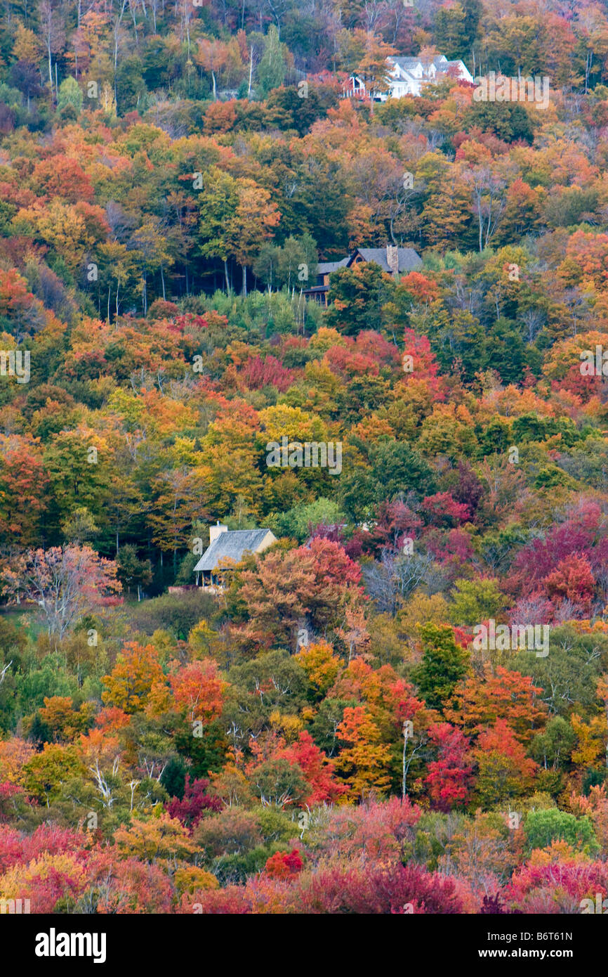 I colori dell'autunno del Vermont ottobre5 2008 Foto Stock