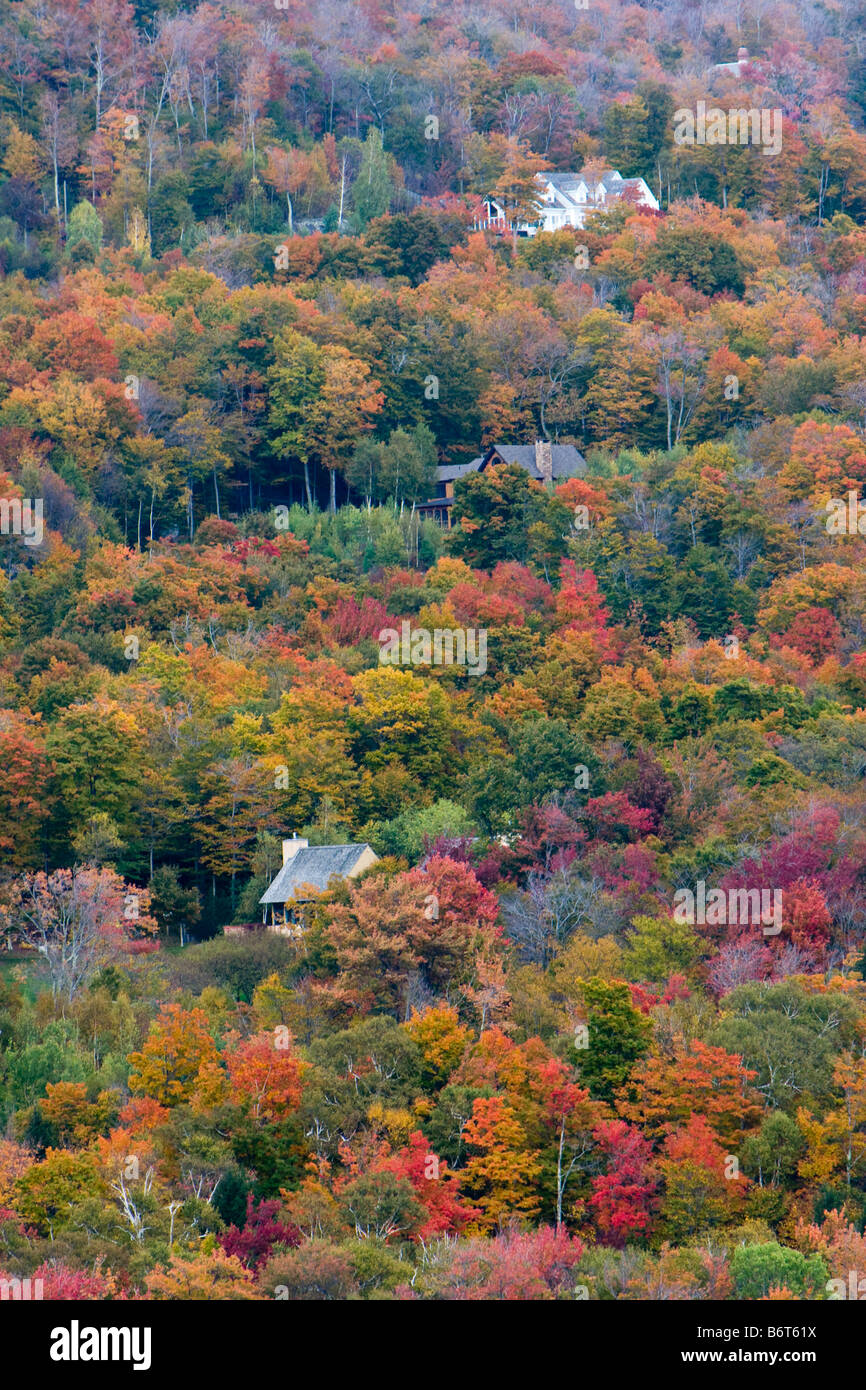 I colori dell'autunno del Vermont ottobre5 2008 Foto Stock