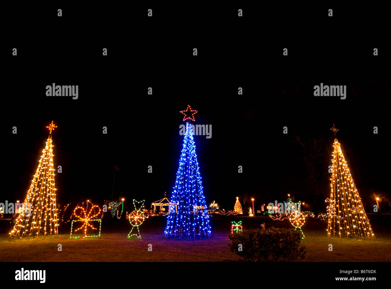 Tre alberi di Natale colori luminosi di due luci bianche una luce blu albero di natale notte drammatico sfondo scuro Foto Stock