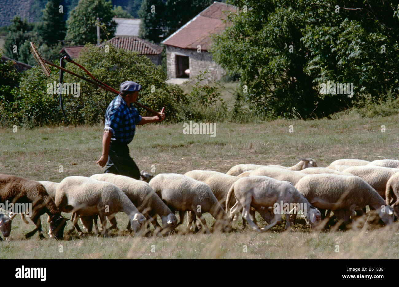 Un agricoltore e il suo gregge nei pressi del villaggio di Issarles sulla Haute Loire, northern Ardeche frontiere, Rhone Alpes, Francia meridionale Foto Stock