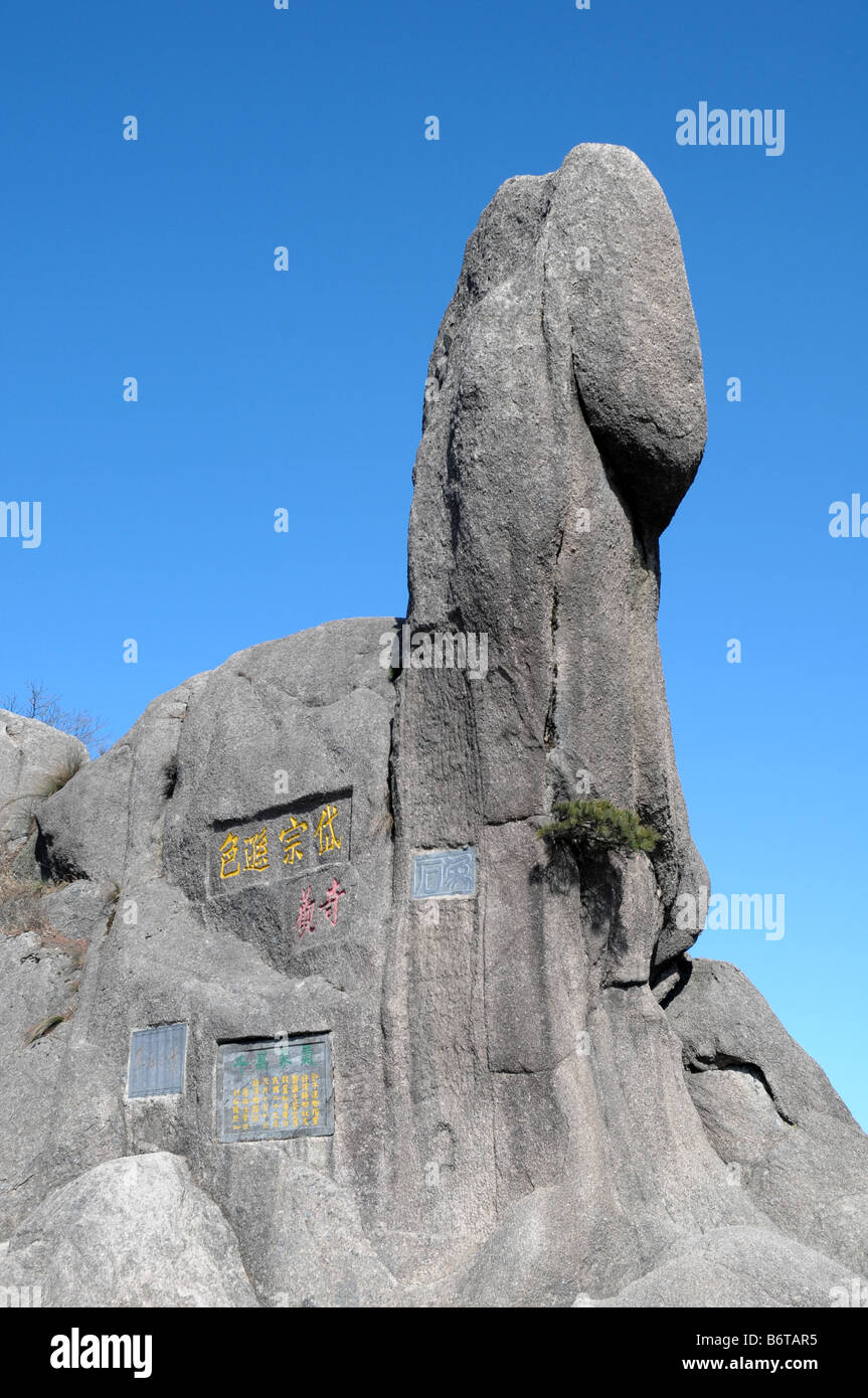 Huangshan gialle di montagna Cina Anhui Foto Stock