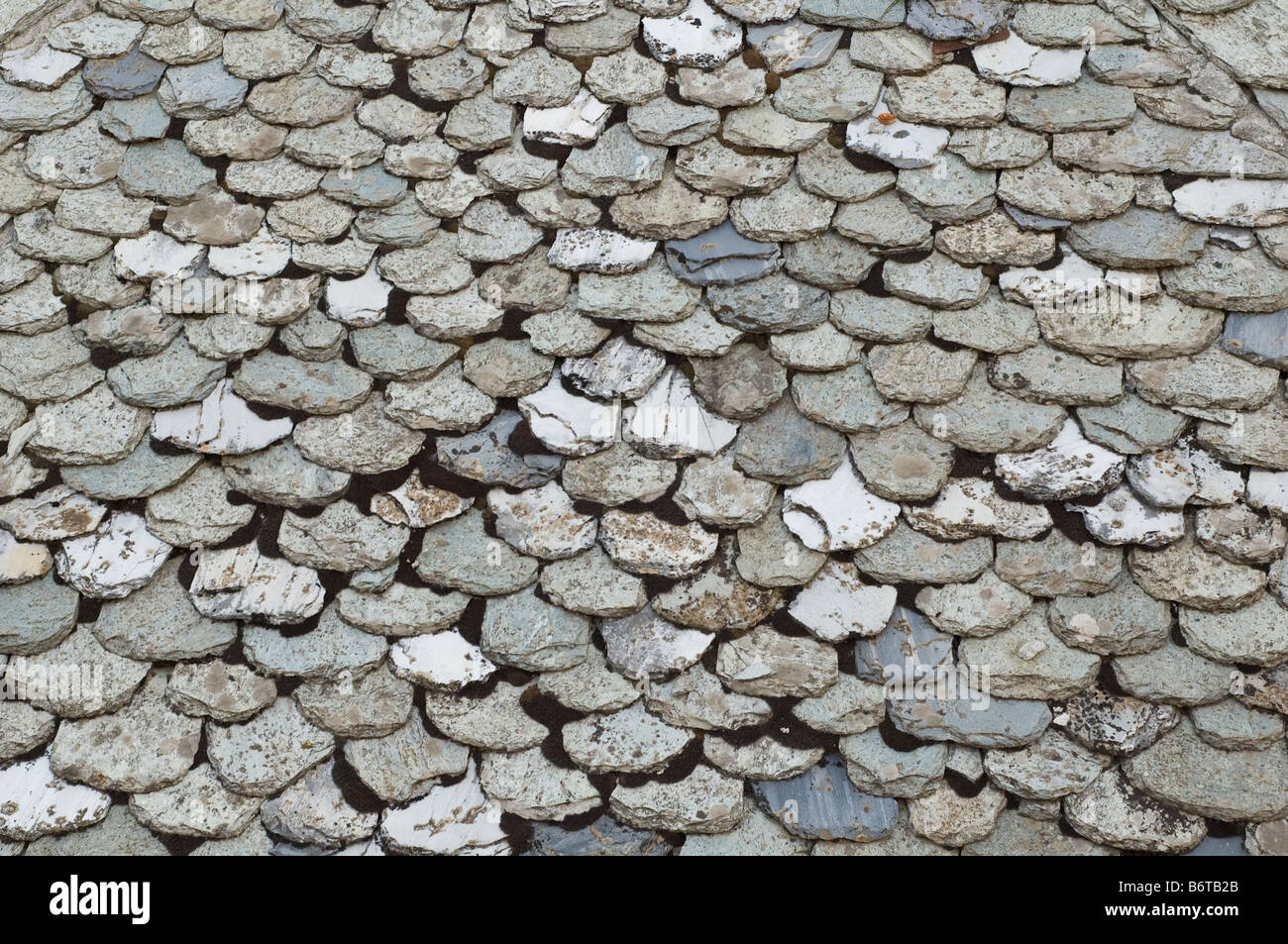 sul tetto Foto Stock