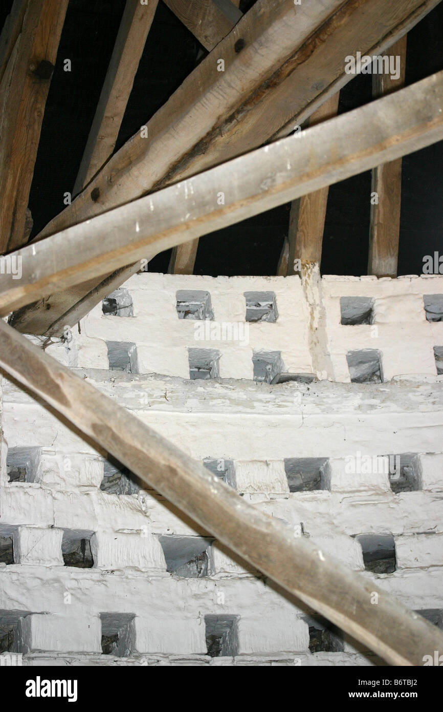 Interno di una colombaia Foto Stock