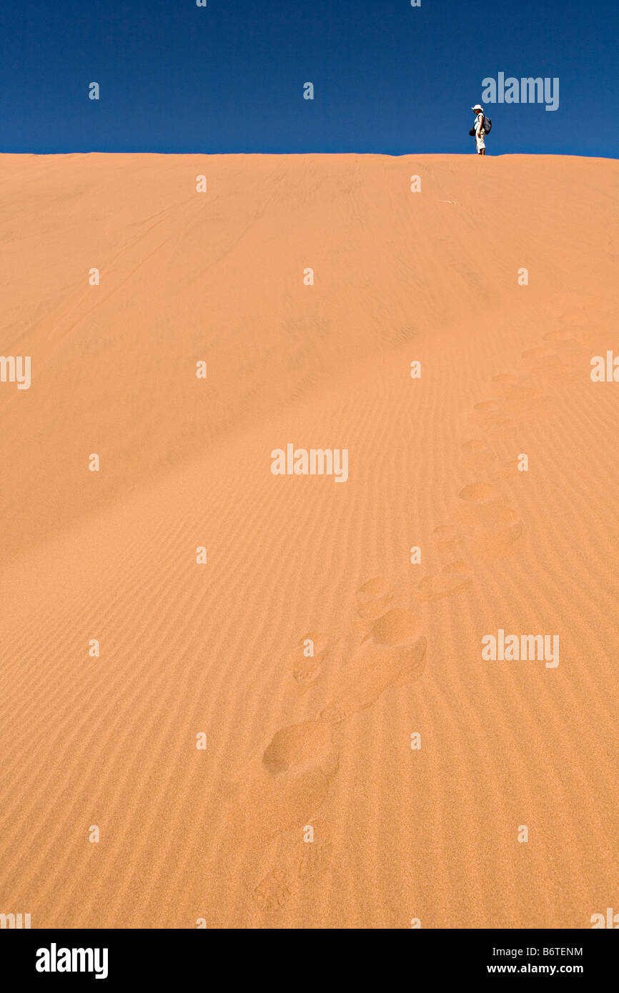 Camminando sulle dune di sabbia nel deserto del Namib area Sossusvlei Namib Naukluft National Park Namibia Foto Stock