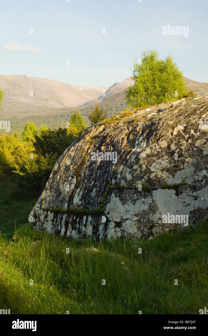 Un ghiacciate di roccia di granito in foresta Rothiemurchus in Cairngorm mountains, Highlands Scozzesi. Foto Stock