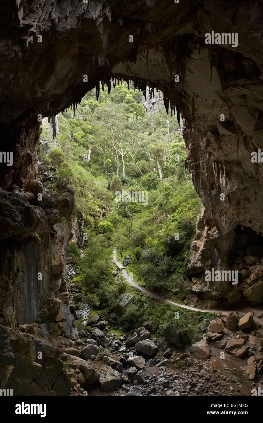 Devils Coach House Caverne di Jenolan Blue Mountains Nuovo Galles del Sud Australia Foto Stock