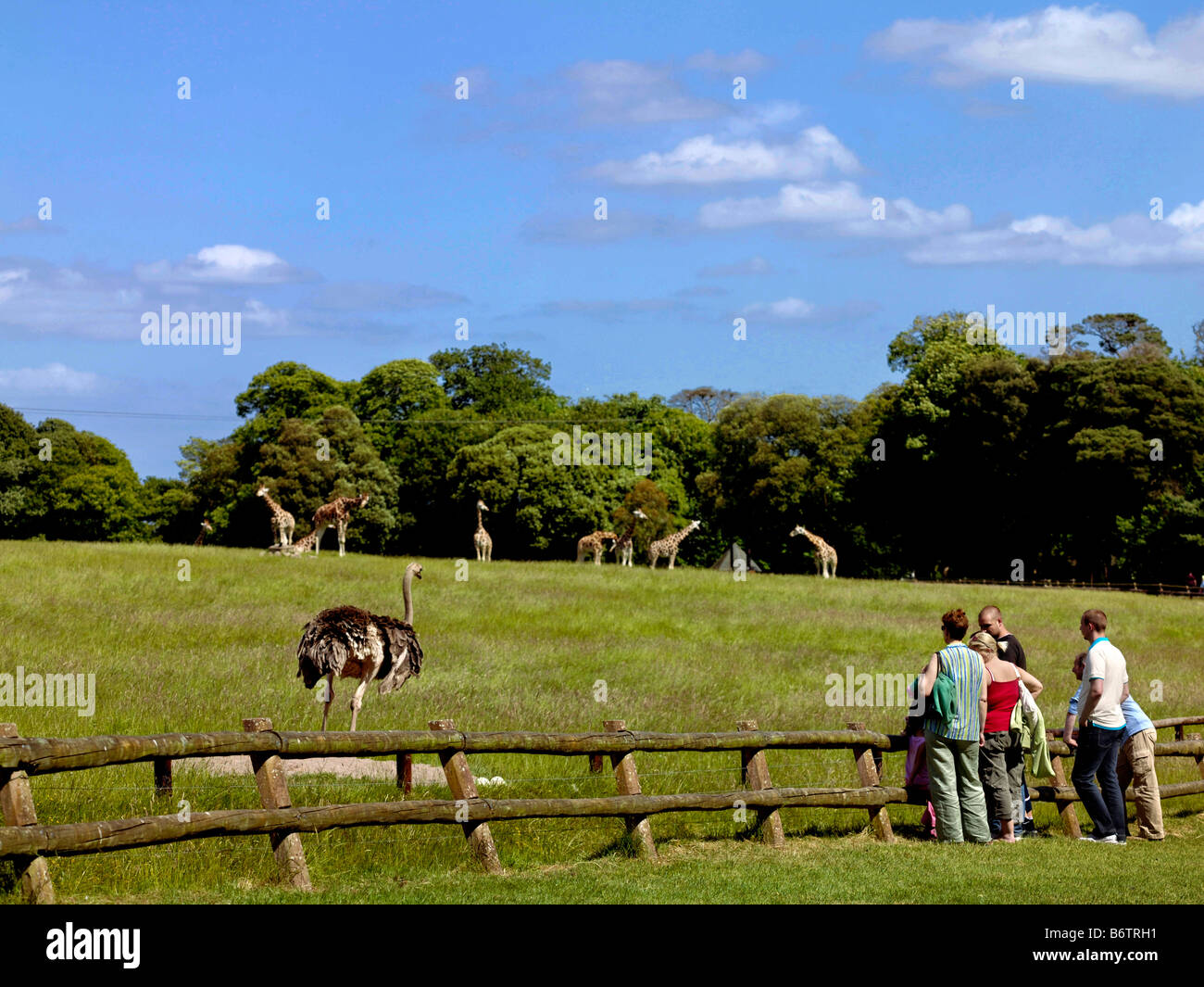 Fota Island Zoo Cork Foto Stock