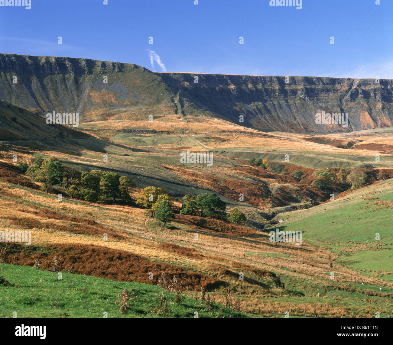 Paesaggio minerario. Vicino TREORCHY. Galles Foto Stock