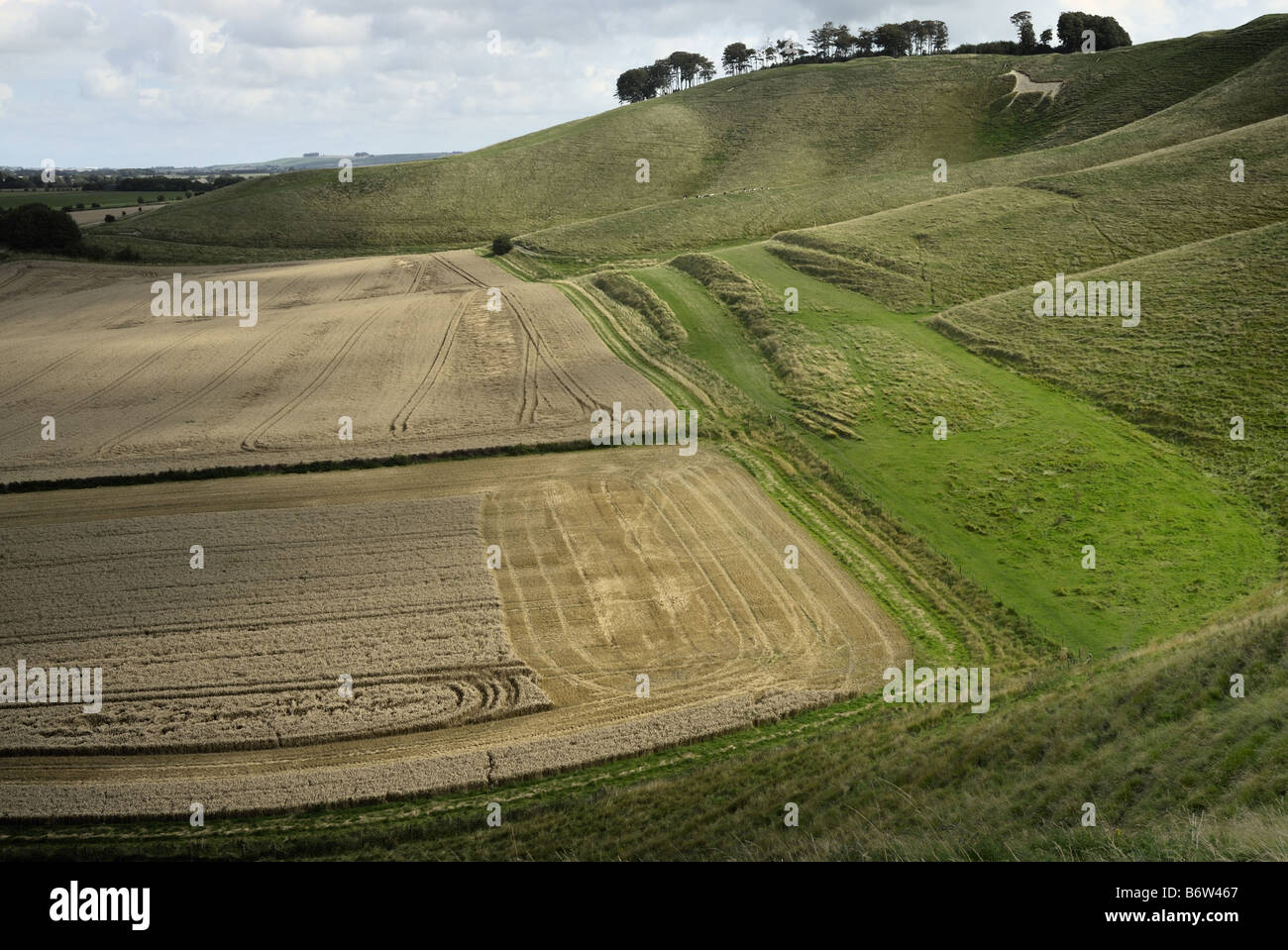 Cherhill Downs e cavallo bianco vicino al Marlborough downs nel Wiltshire su un luminoso Nuvoloso Giorno. Foto Stock