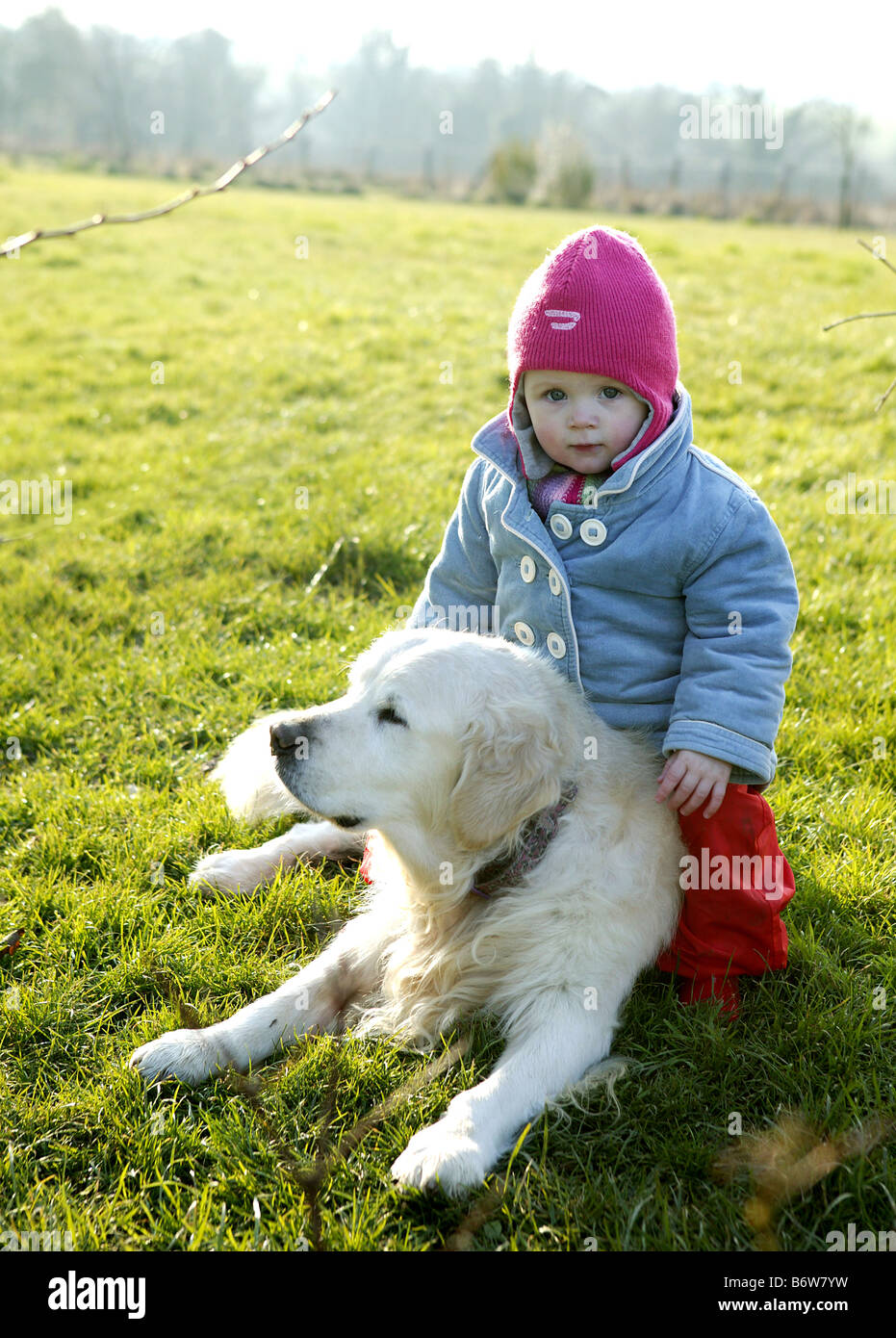 Giocoso bambino piccolo si trova sulla cima di un golden retriever cane in giardino durante la stagione invernale Foto Stock