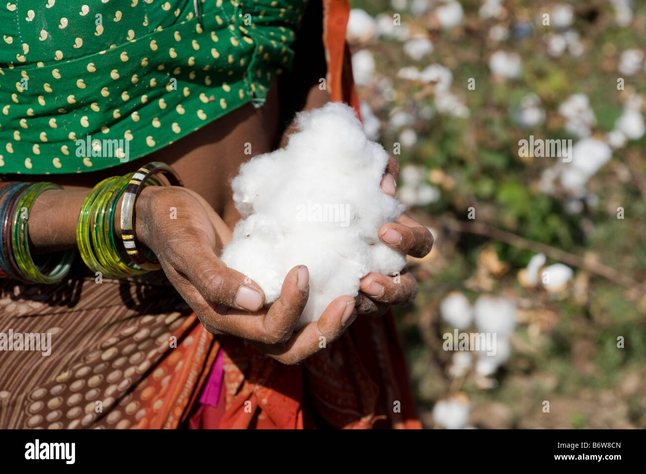 India p.f. Khargone , il commercio equo e solidale e di cotone biologico agricoltura Foto Stock