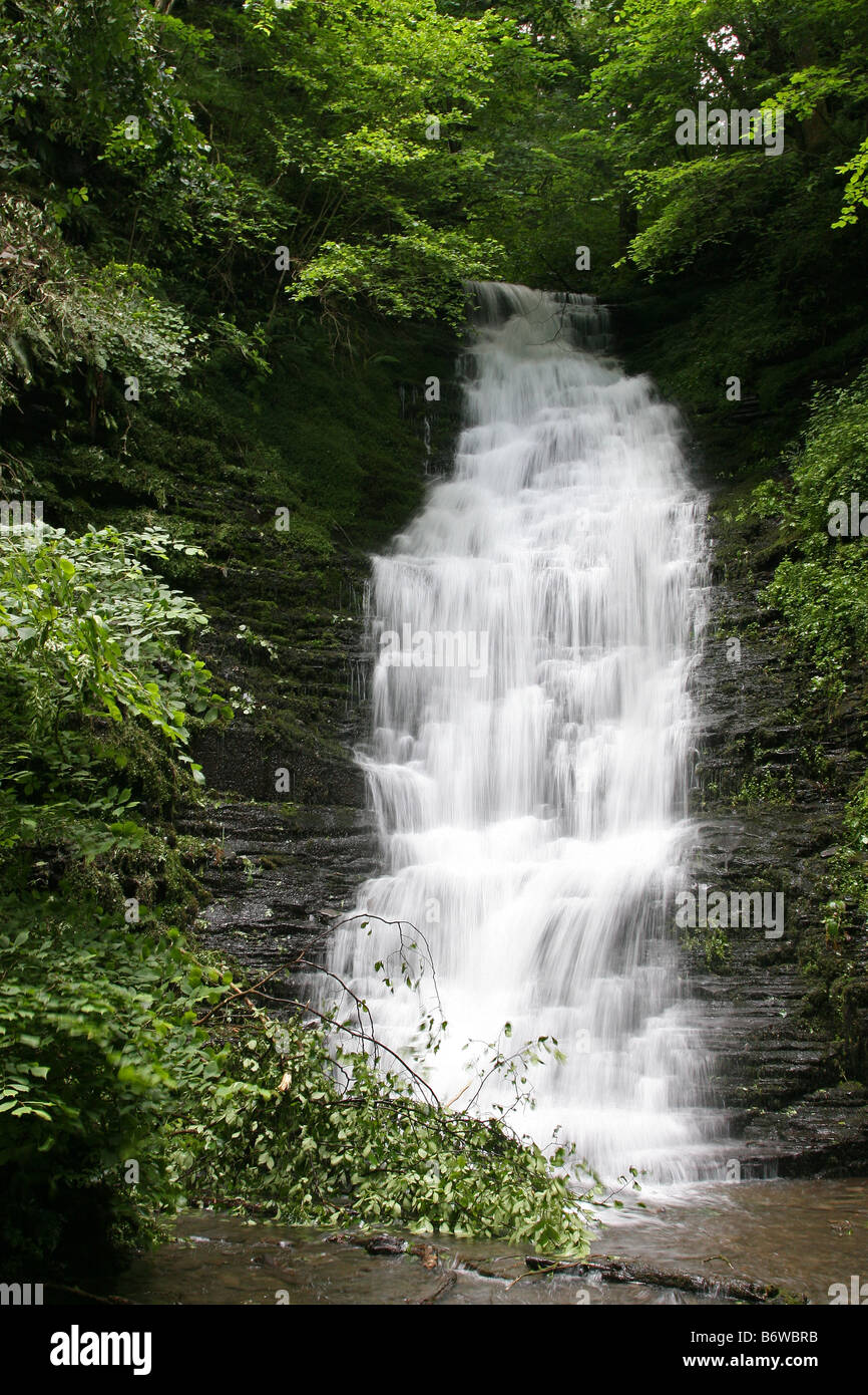 Water-Break-Its-Neck cascata vicino a Kington, Herefordshire Foto Stock