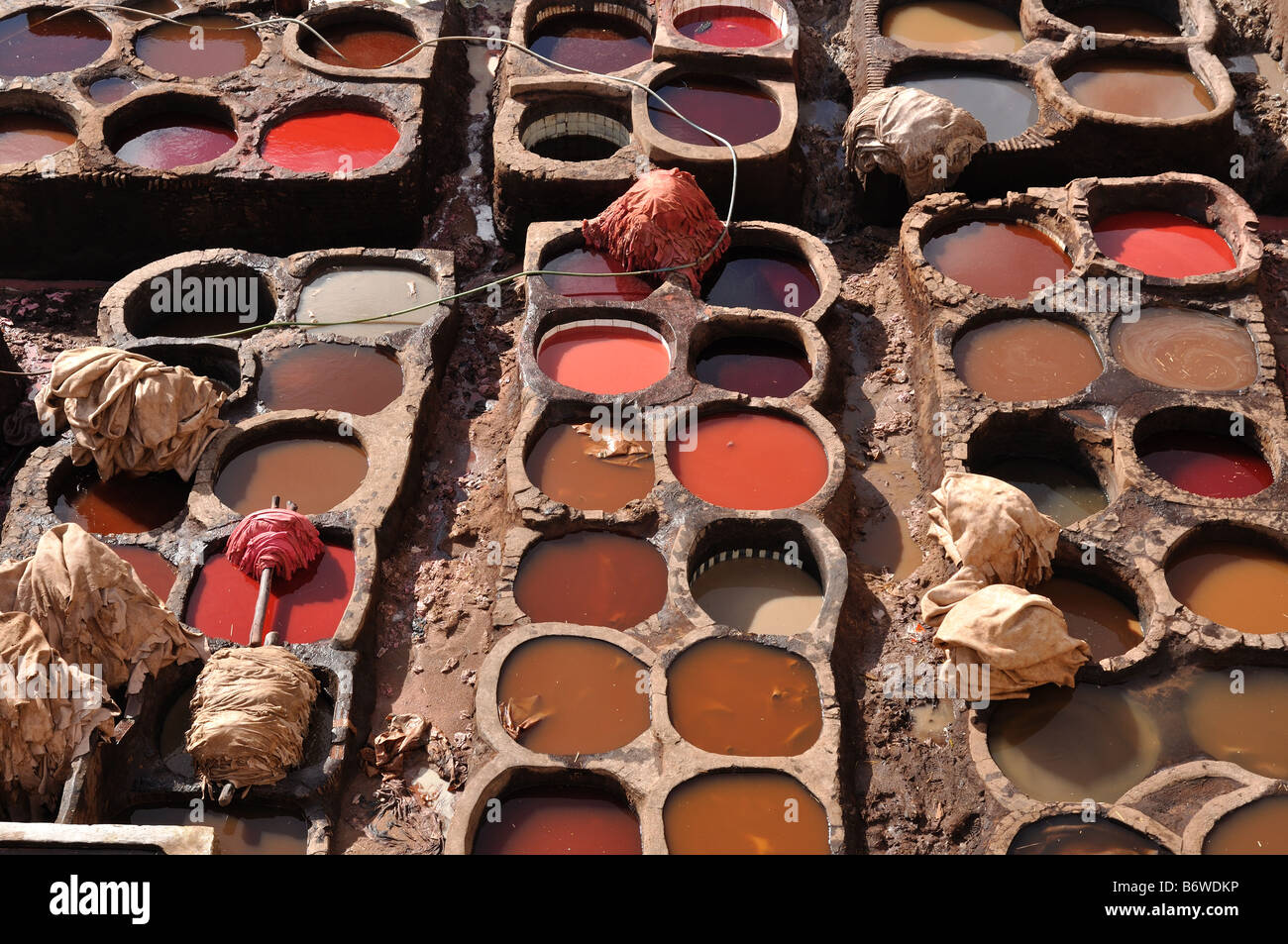 La concia della pelle in Fes, Marocco Foto Stock