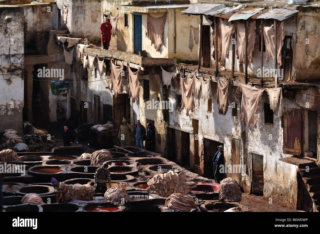 La concia della pelle nel tradizionale Chouwara conceria di Fez, Marocco Foto Stock
