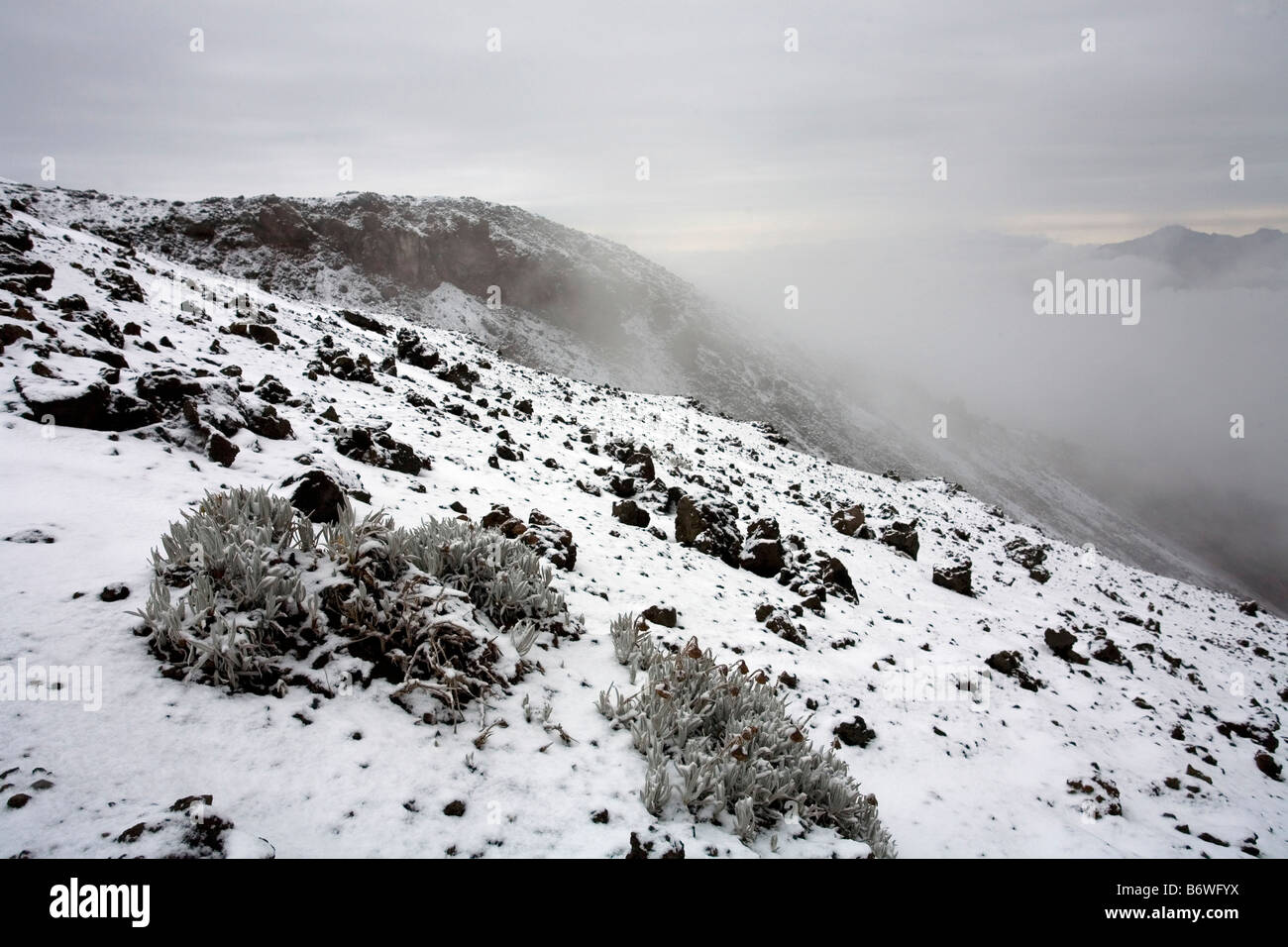 Vista dal vulcano Cotopaxi nelle Ande ecuadoriane Foto Stock