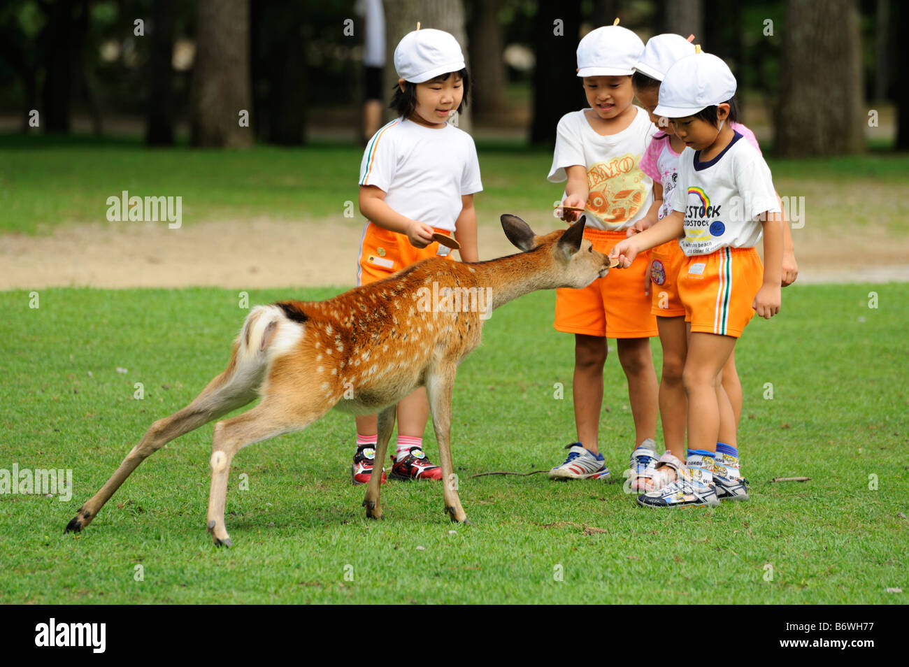 Gli studenti giapponesi alimentare un daini domestici, Nara JP Foto Stock