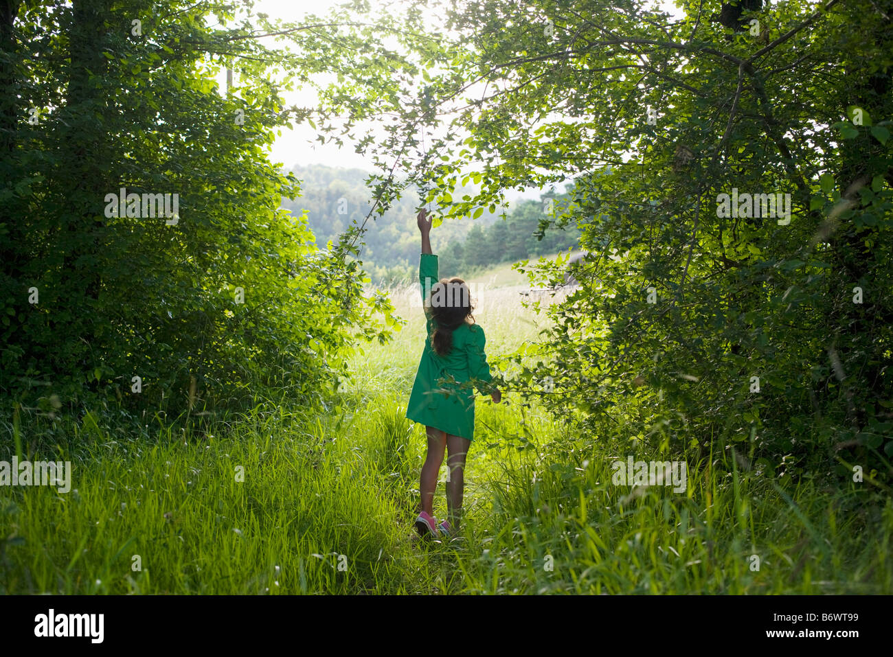 Una ragazza cercando di raggiungere per un ramo su un albero Foto Stock