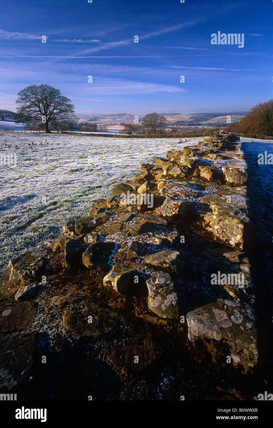 Il Vallo di Adriano nel gelo invernale a Planetrees vicino Chollerford, Northumberland Foto Stock