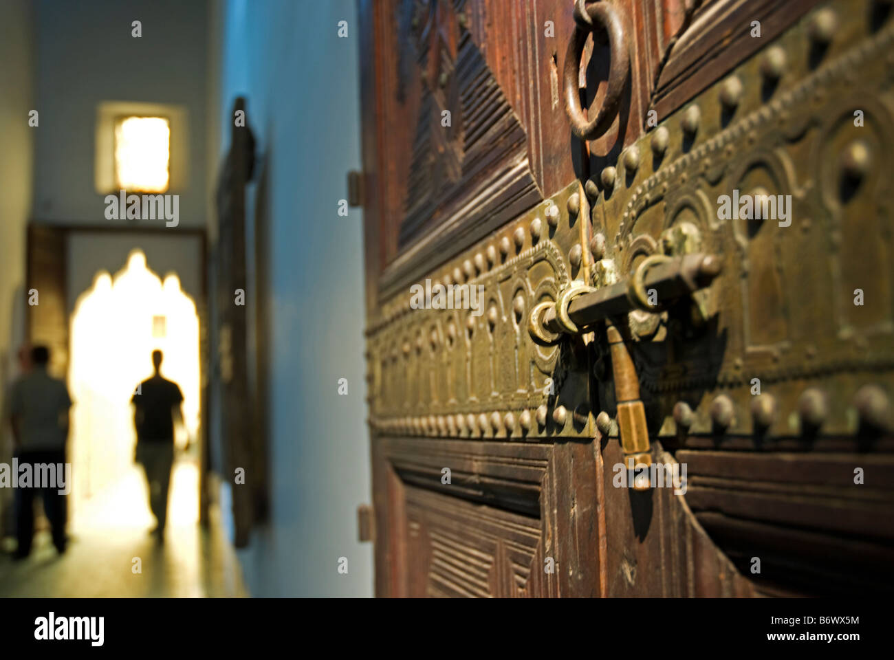 Il Marocco Marrakech, Jardin Majorelle. Il Giardino Majorelle è un giardino botanico progettato dall'artista francese Jacques Majorelle Foto Stock