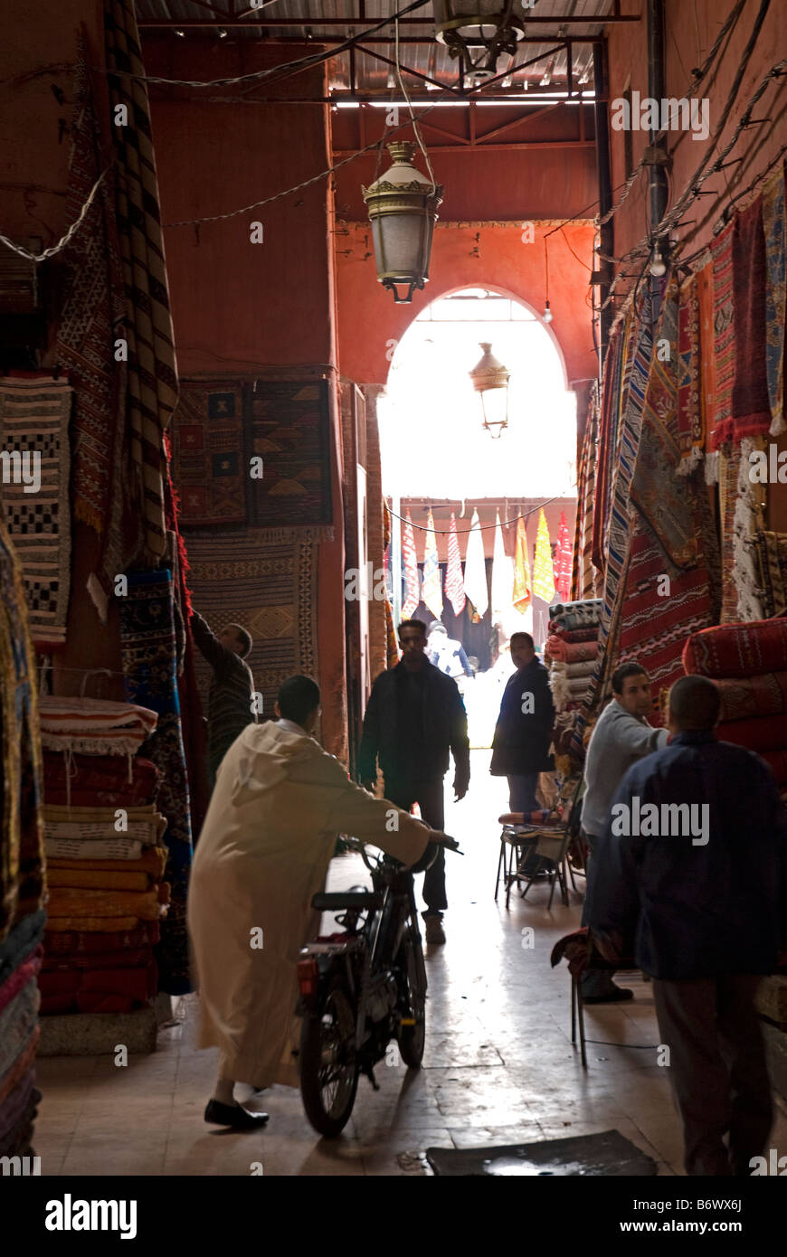 Il Marocco Marrakech, Jardin Majorelle. Il Giardino Majorelle è un giardino botanico progettato dall'artista francese Jacques Majorelle Foto Stock