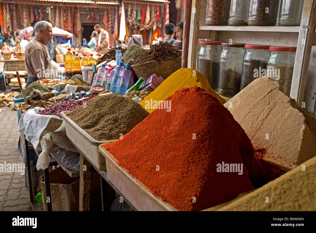 Il Marocco Marrakech, Jardin Majorelle. Il Giardino Majorelle è un giardino botanico progettato dall'artista francese Jacques Majorelle Foto Stock
