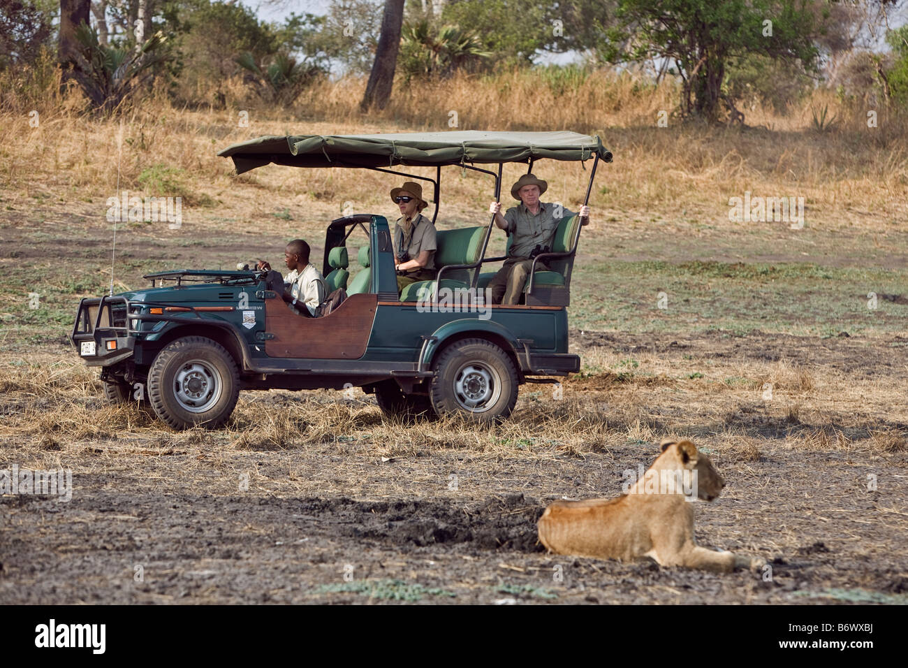 Tanzania, Katavi National Park. I turisti di guardare un orgoglio dei leoni a partire da un veicolo di safari nel Katavi National Park. Foto Stock