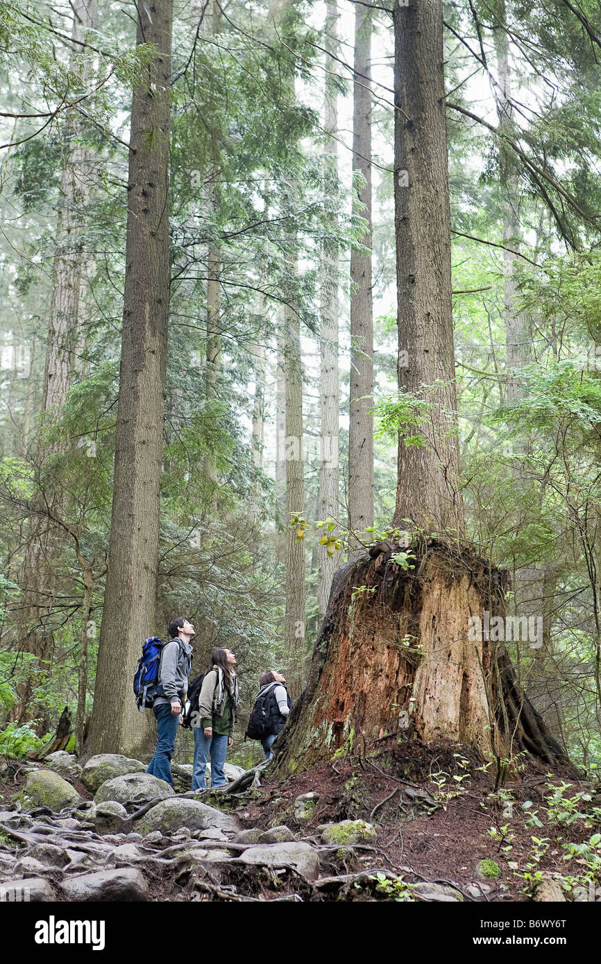 Persone in foresta Foto Stock