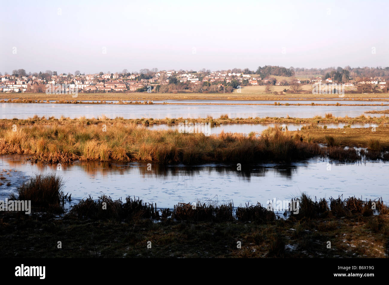 Il Pulborough Brooks RSPB riserva naturale nel West Sussex Foto Stock