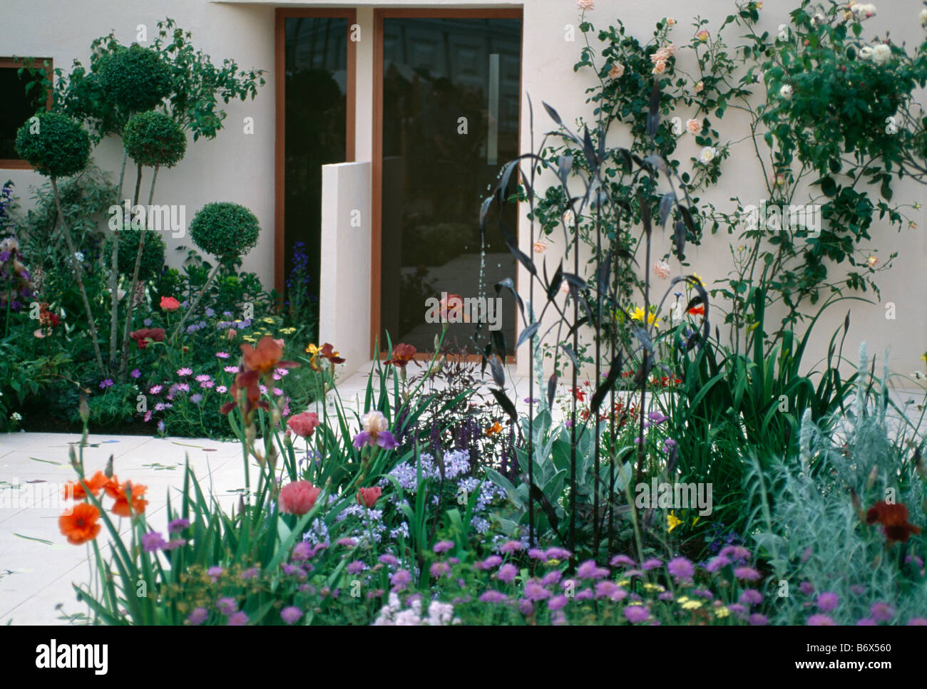 La rosa bianca e blu scabious con papavero rosso nella parte anteriore della moderna casa bianca con la nuvola piccola alberi sfoltiti nelle regioni di frontiera Foto Stock