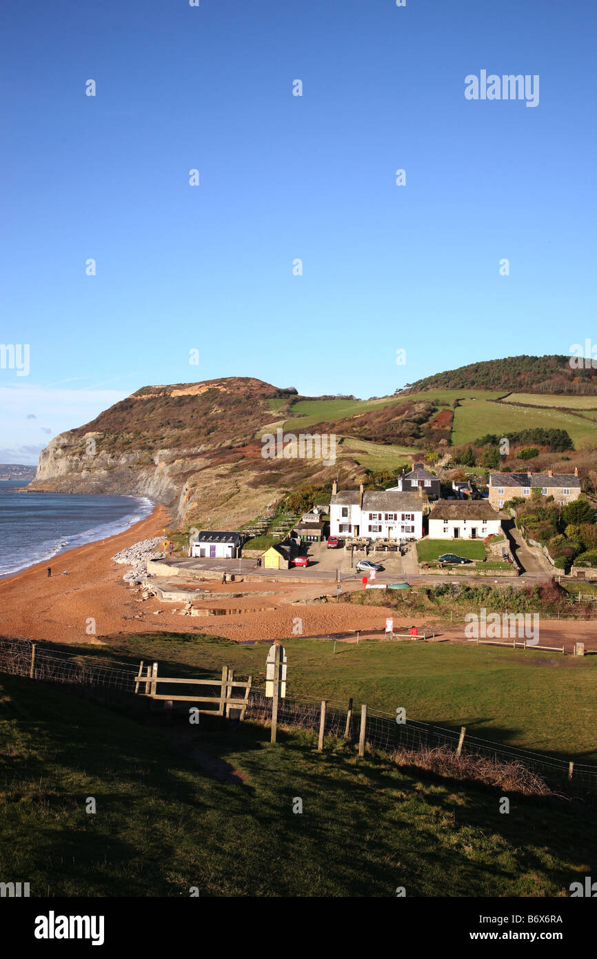 Vista lungo la spiaggia di ciottoli a Seatown, un borgo vicino a Chideock dominato da Golden Cap la più alta scogliera sulla costa sud Foto Stock