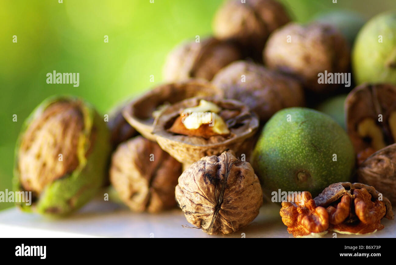 Frutto dell'autunno. Foto Stock