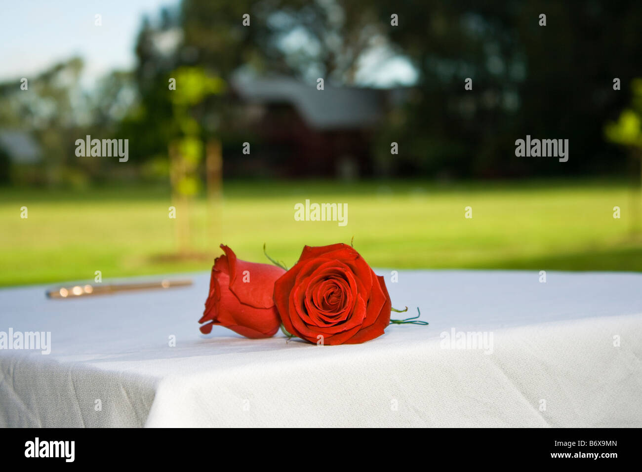 Due set di rose su una tovaglia bianca su una tabella usata per la firma di un registro di matrimonio Foto Stock