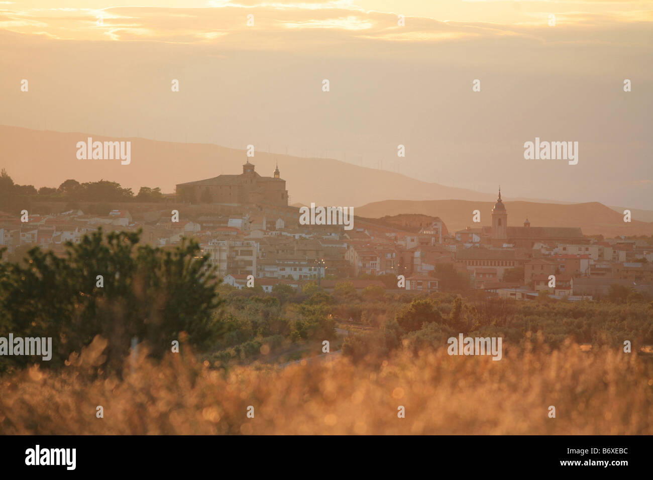 Vino Cascante village, Navarra, Navarra, Spagna Foto Stock