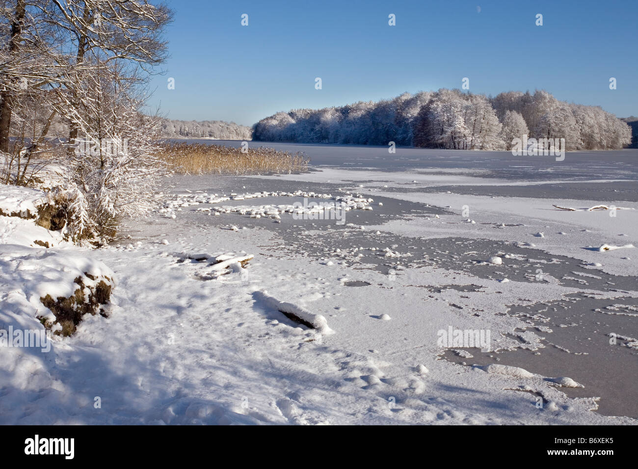 Liepnitzsee, Wandlitz, Barnim, Brandeburgo, Germania Foto Stock