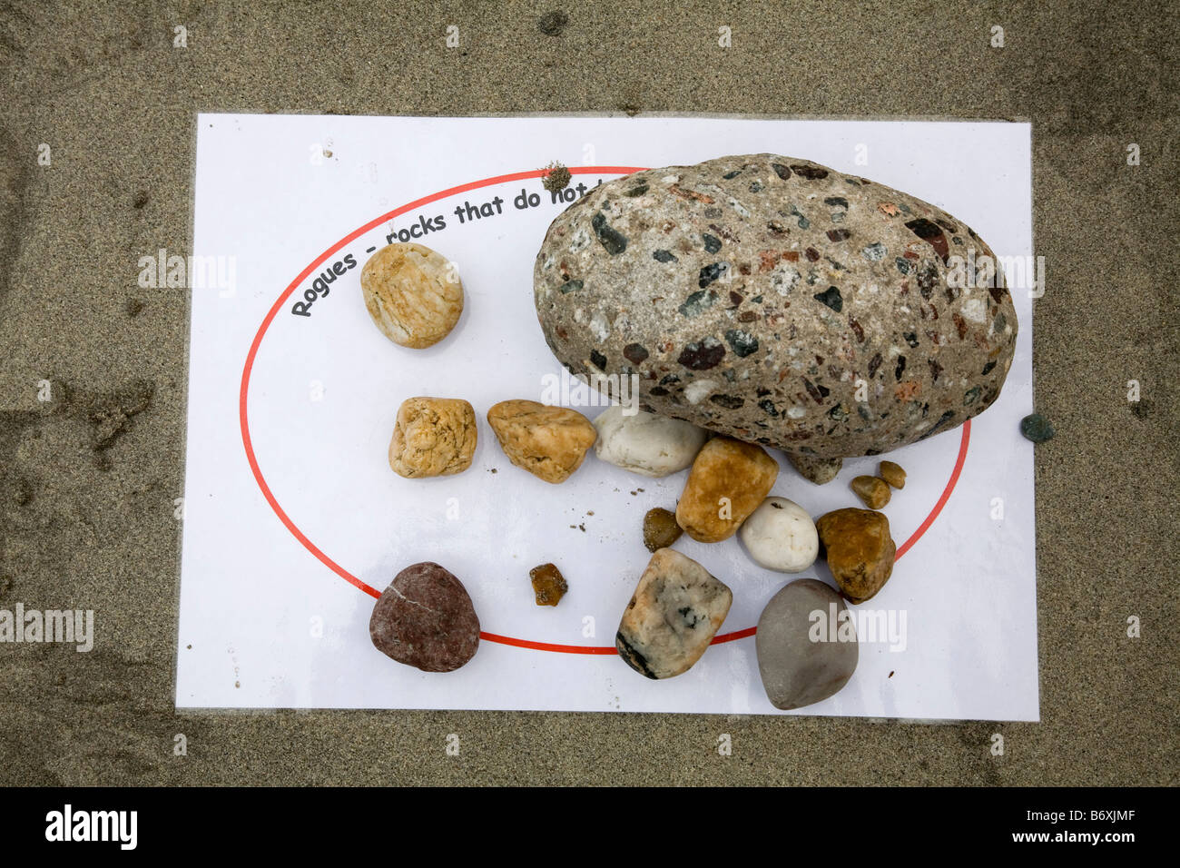 Collezione Stones da spiaggia campo della geologia viaggio coverack Cornovaglia Foto Stock