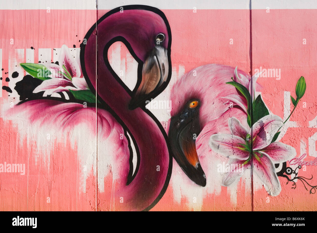 Graffiti sul muro dei due fenicotteri rosa Foto Stock