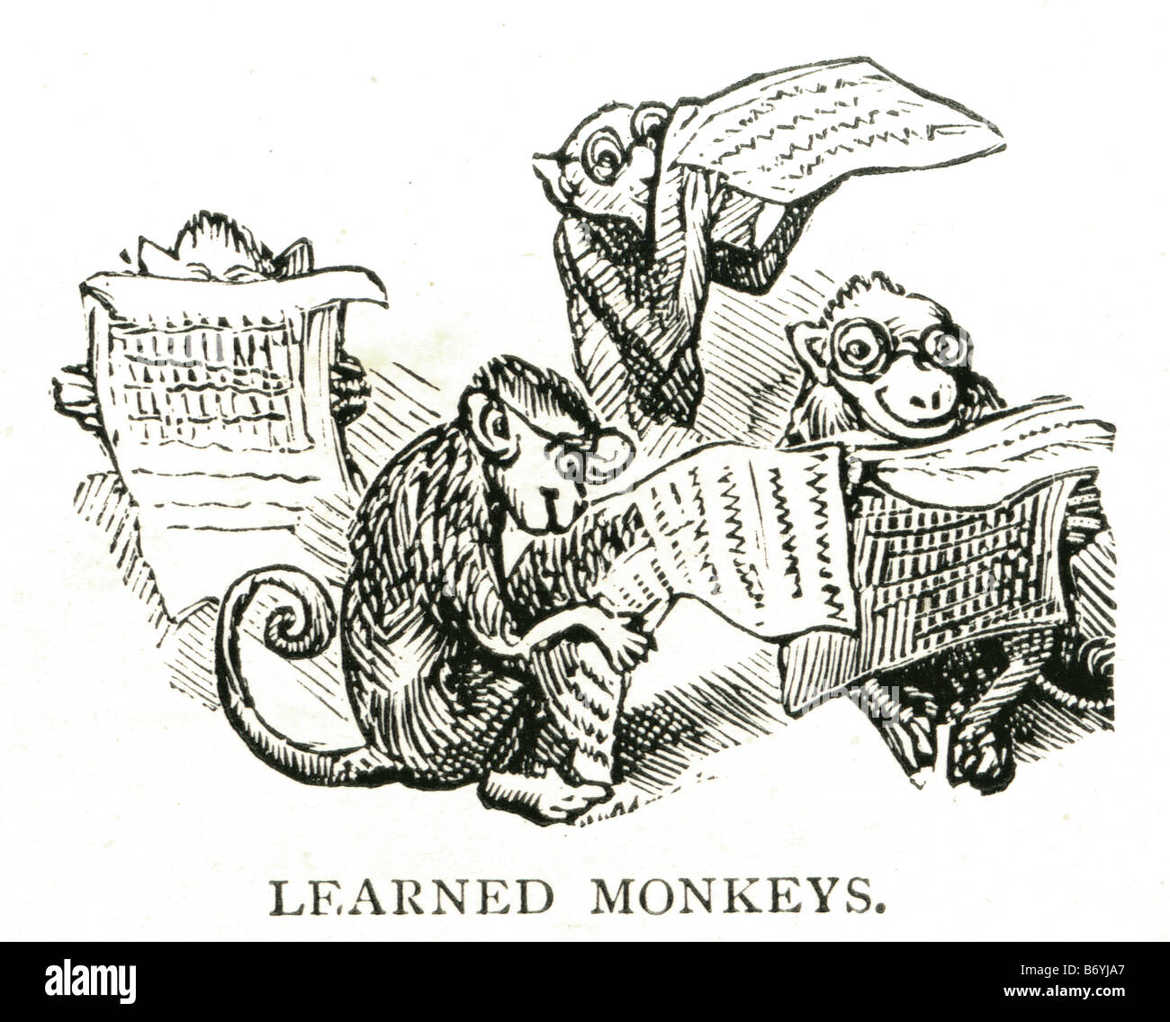Imparato monkey cartoon ape carta lettura chimp fantasy scherzo Foto Stock