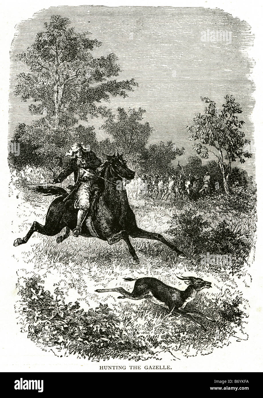 La caccia La caccia gazelle preda predatore sangue sport cavallo montato pianure africa chase Foto Stock