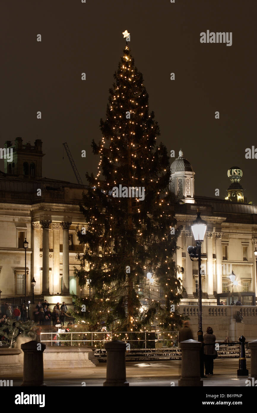 Norwegian albero di Natale 2008 Trafalgar Square London REGNO UNITO Foto Stock