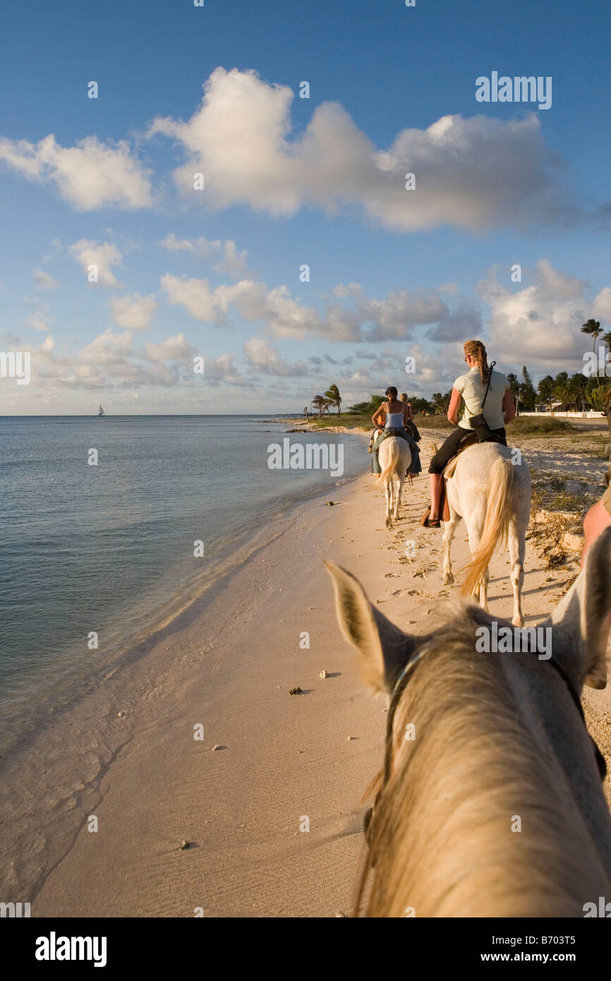 Passeggiate a cavallo sulla spiaggia, Rancho Notorious, Aruba, Antille olandesi Foto Stock