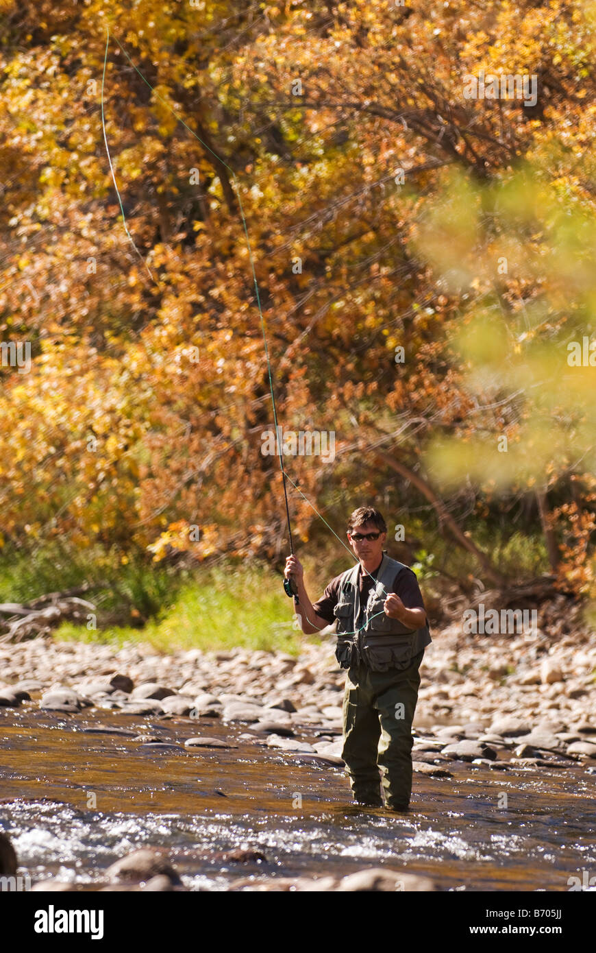 Un uomo di Pesca a Mosca Report di Pesca nella cache La Poudre fiume in autunno vicino a Fort Collins, Colorado. Foto Stock