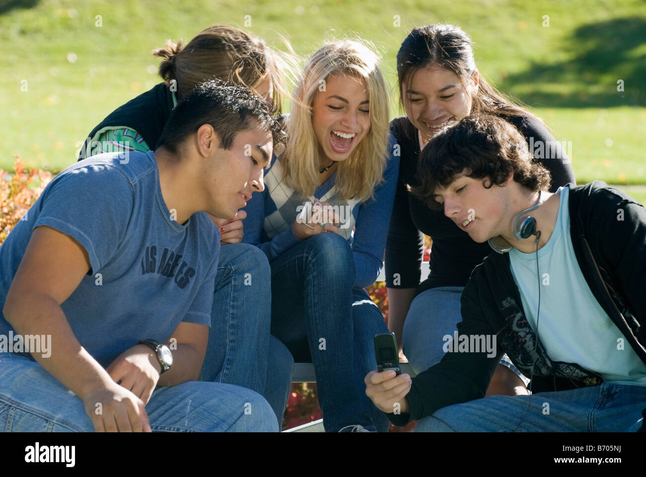 Amici guardare a un telefono cellulare picture in un parco di Fort Collins, Colorado. Foto Stock
